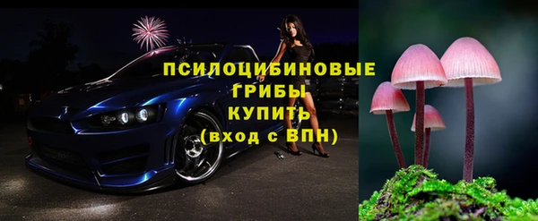 шишки Белокуриха