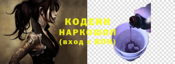 шишки Белокуриха