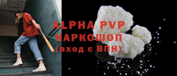шишки Белокуриха