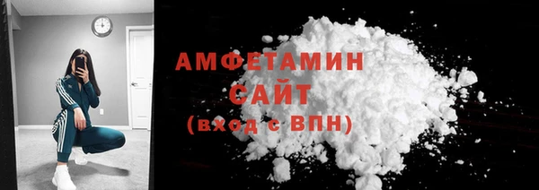 шишки Белокуриха