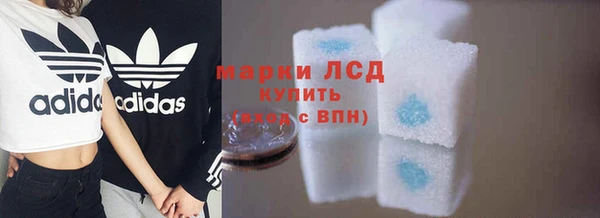 шишки Белокуриха