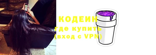 шишки Белокуриха
