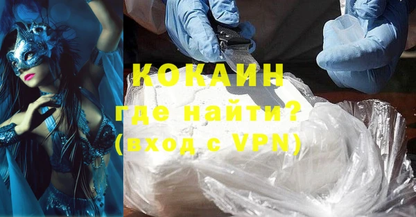 шишки Белокуриха