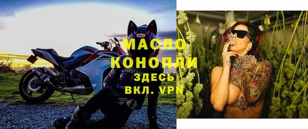 шишки Белокуриха