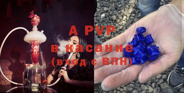 шишки Белокуриха
